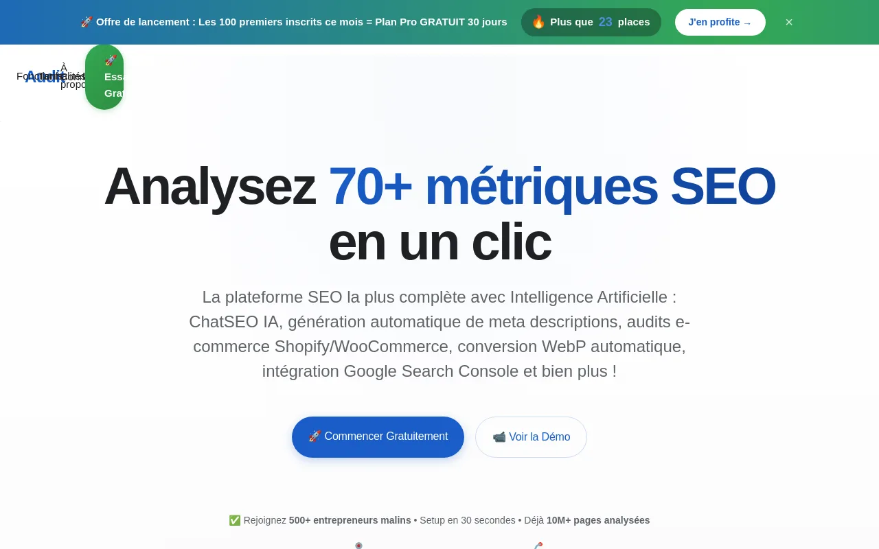 Vraivex Audit - SaaS SEO